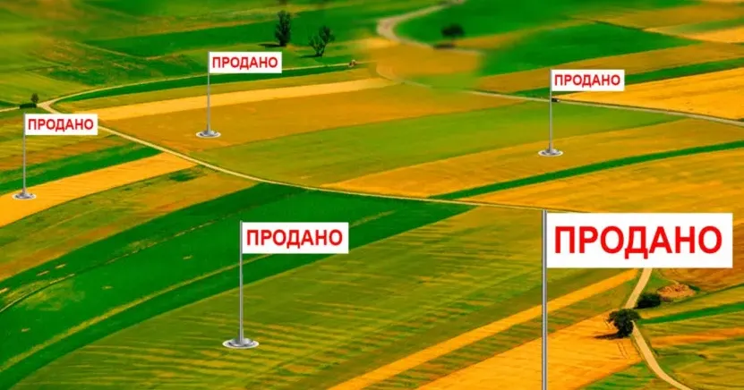 Фото з відкритих джерел 1 липня 2021 року, після багатьох років дії мораторію, було відкрито ринок земель сільськогосподарського призначення.