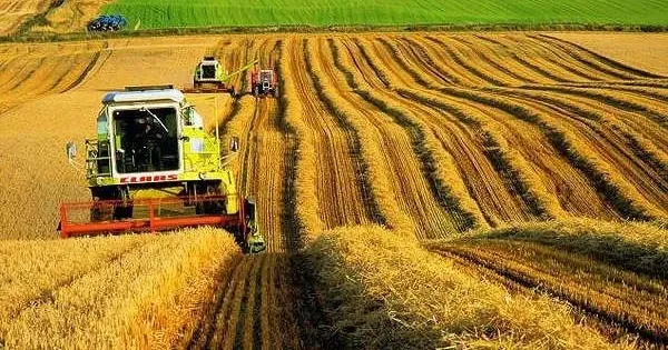 Інфографіка Опендатабот На 35% збільшився сукупний дохід топ-10 компаній агросфери минулоріч згідно з Індексом Опендатабота. Лідери агроринку заробили майже 90 млрд грн. До Індексу потрапили компанії групи МХП Юрія Косюка, групи Кернел Андрія Веревського та групи Укрпромінвест Олексія Порошенко. Останні отримали найбільші прибутки серед усіх бізнесів з переліку.