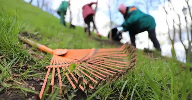 Світлина з відкритих джерел Із закликом дотримуватися чистоти і в належному стані зберігати територію звернулася Солоницівський селищна рада Андрій Литвинов у соціальних мережах до мешканців і представників бізнесу.